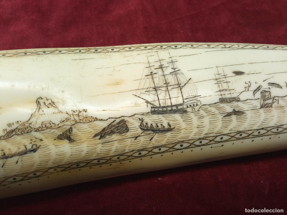 Arte: Scrimshaw 39 cm Colmillo grabado ingl&eacute;s - caza de ballenas - Antigua pasta/resina