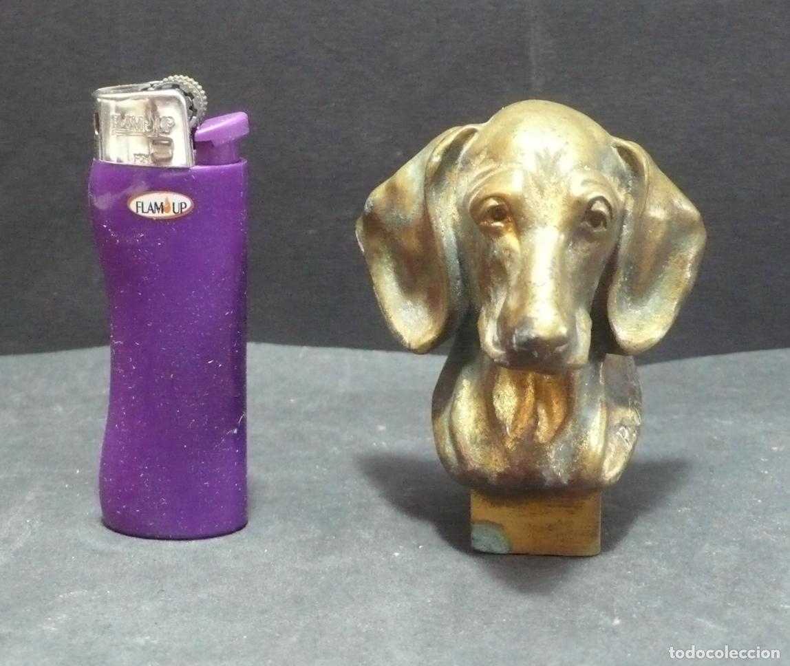 Arte: CABEZA DE PERRO BRONCE - Foto 1