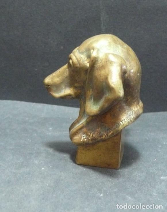 Arte: CABEZA DE PERRO BRONCE - Foto 2