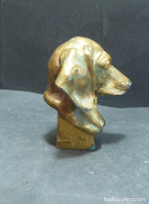 Arte: CABEZA DE PERRO BRONCE - Foto 3