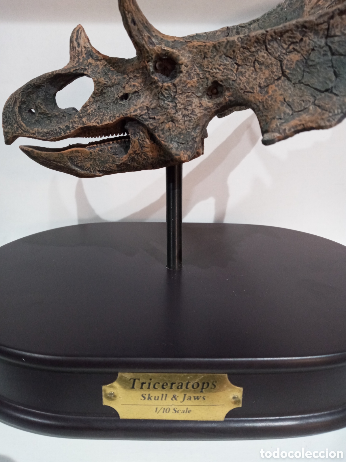 Arte: ESQUELETO CABEZA DE DINOSAURIO - Foto 4
