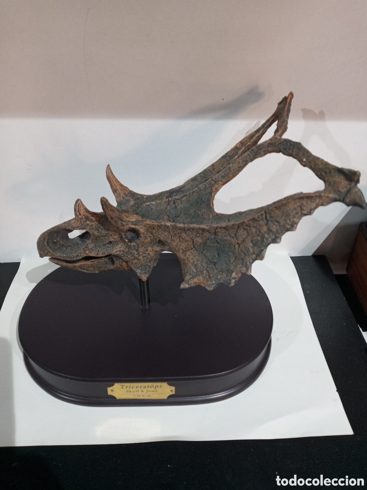 Arte: ESQUELETO CABEZA DE DINOSAURIO - Foto 5