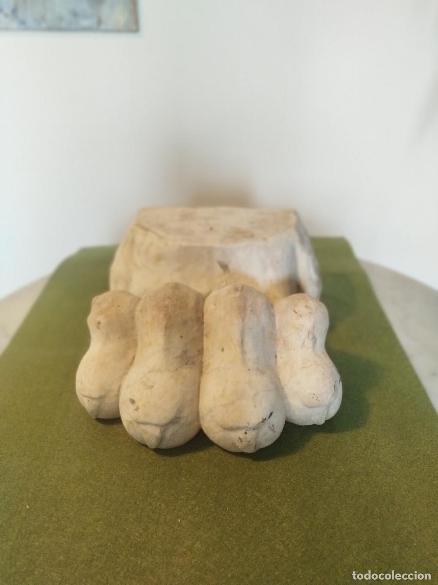 Arte: M&aacute;rmol cl&aacute;ssico garra de le&oacute;n - Foto 2