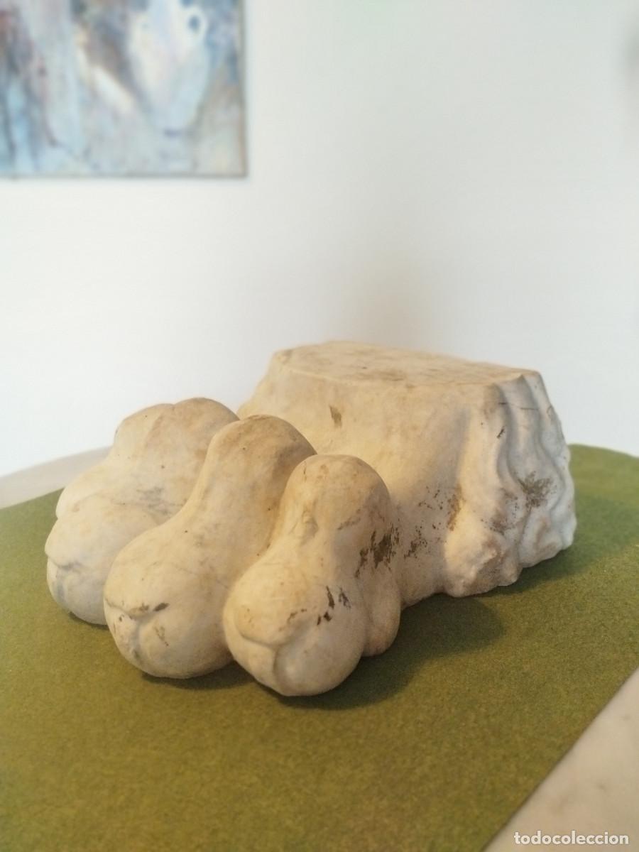 Arte: M&aacute;rmol cl&aacute;ssico garra de le&oacute;n - Foto 6