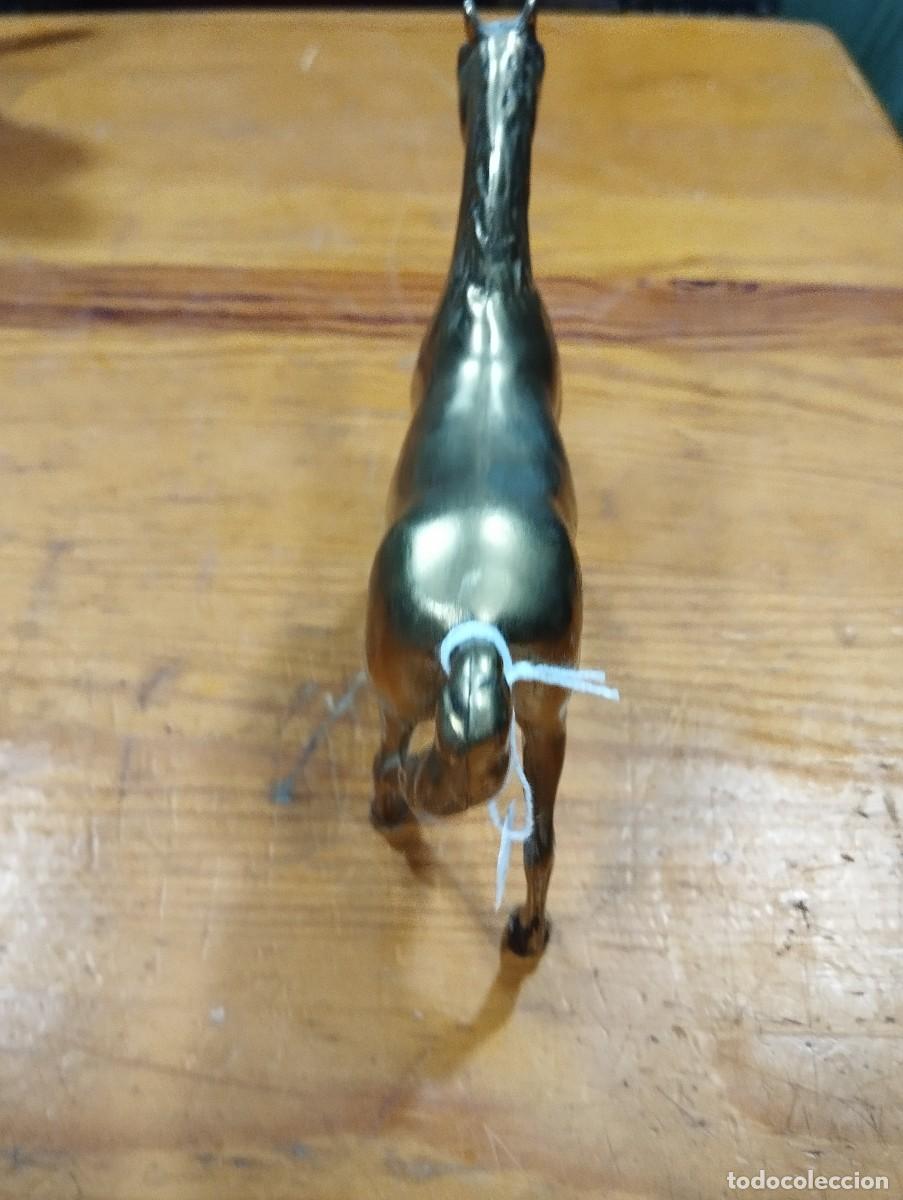 Arte: CABALLO DE BRONCE DORADO. - Foto 6