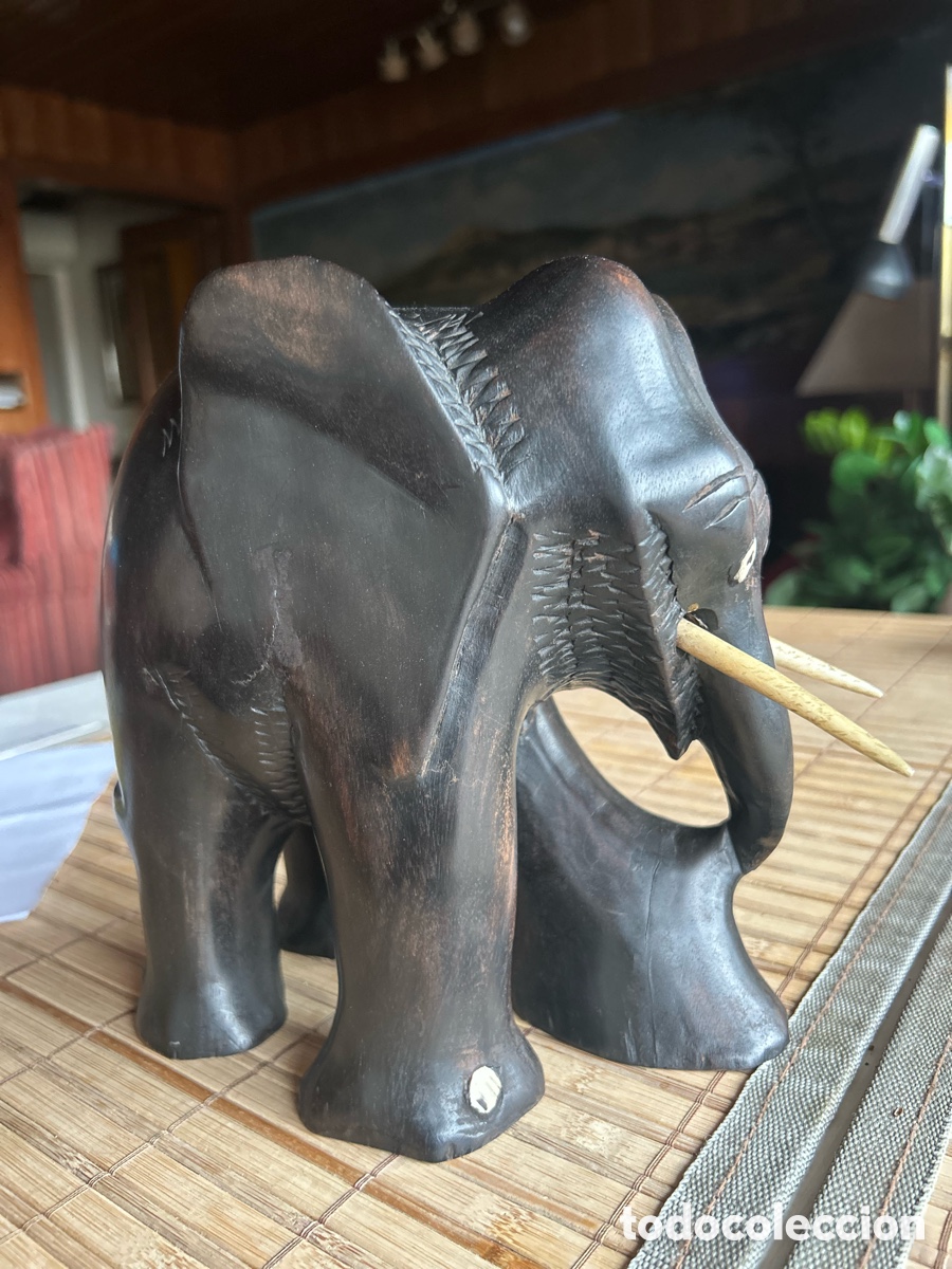 Arte: Elefante de &Eacute;bano y Marfil - Foto 3