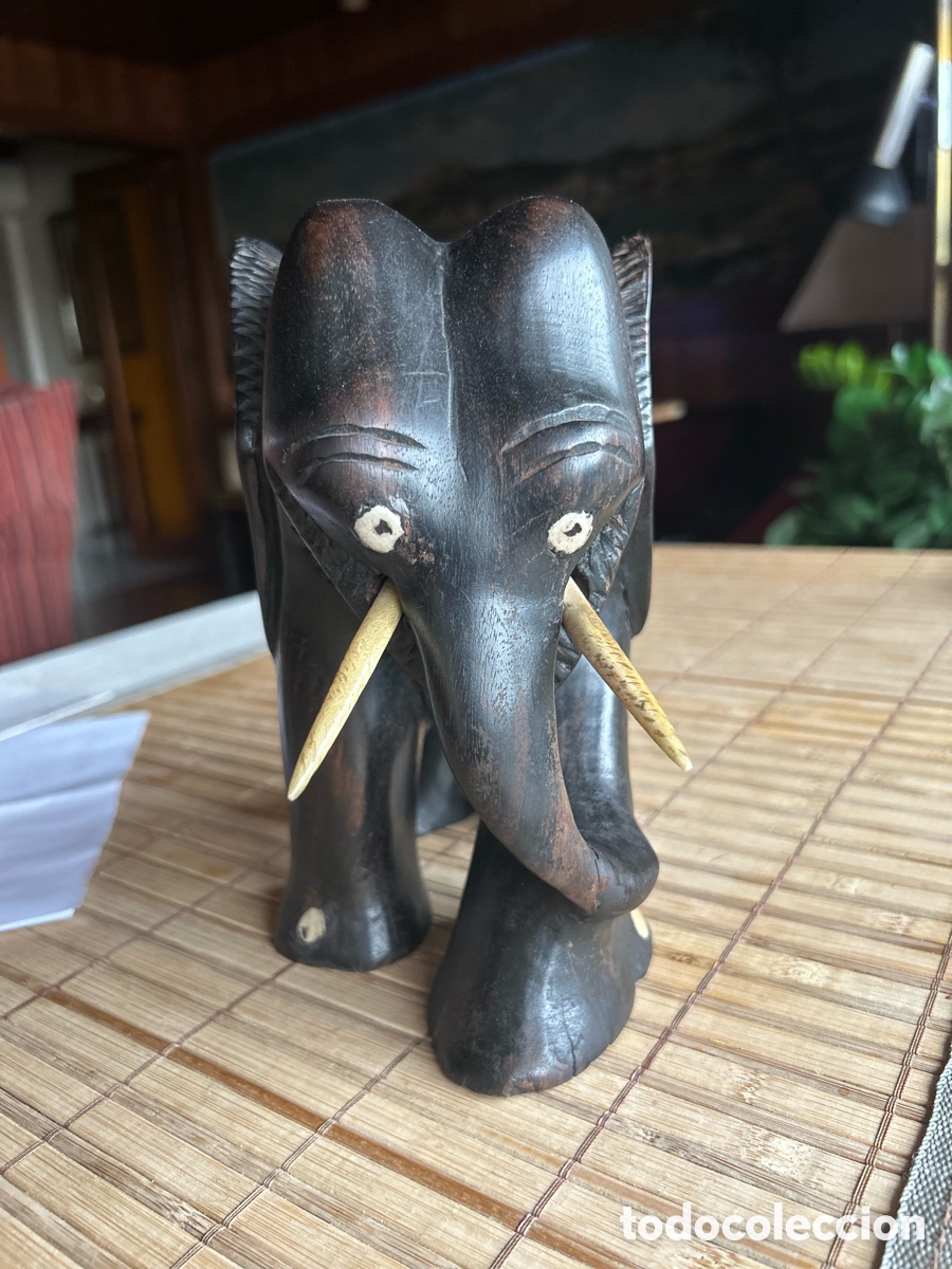 Arte: Elefante de &Eacute;bano y Marfil - Foto 4