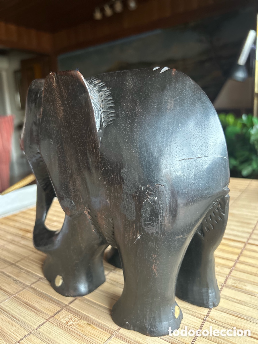 Arte: Elefante de &Eacute;bano y Marfil - Foto 5