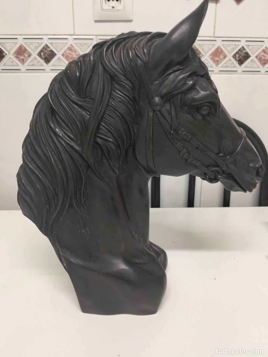 Arte: Busto de caballo, de resina con patina de bronce. - Foto 1