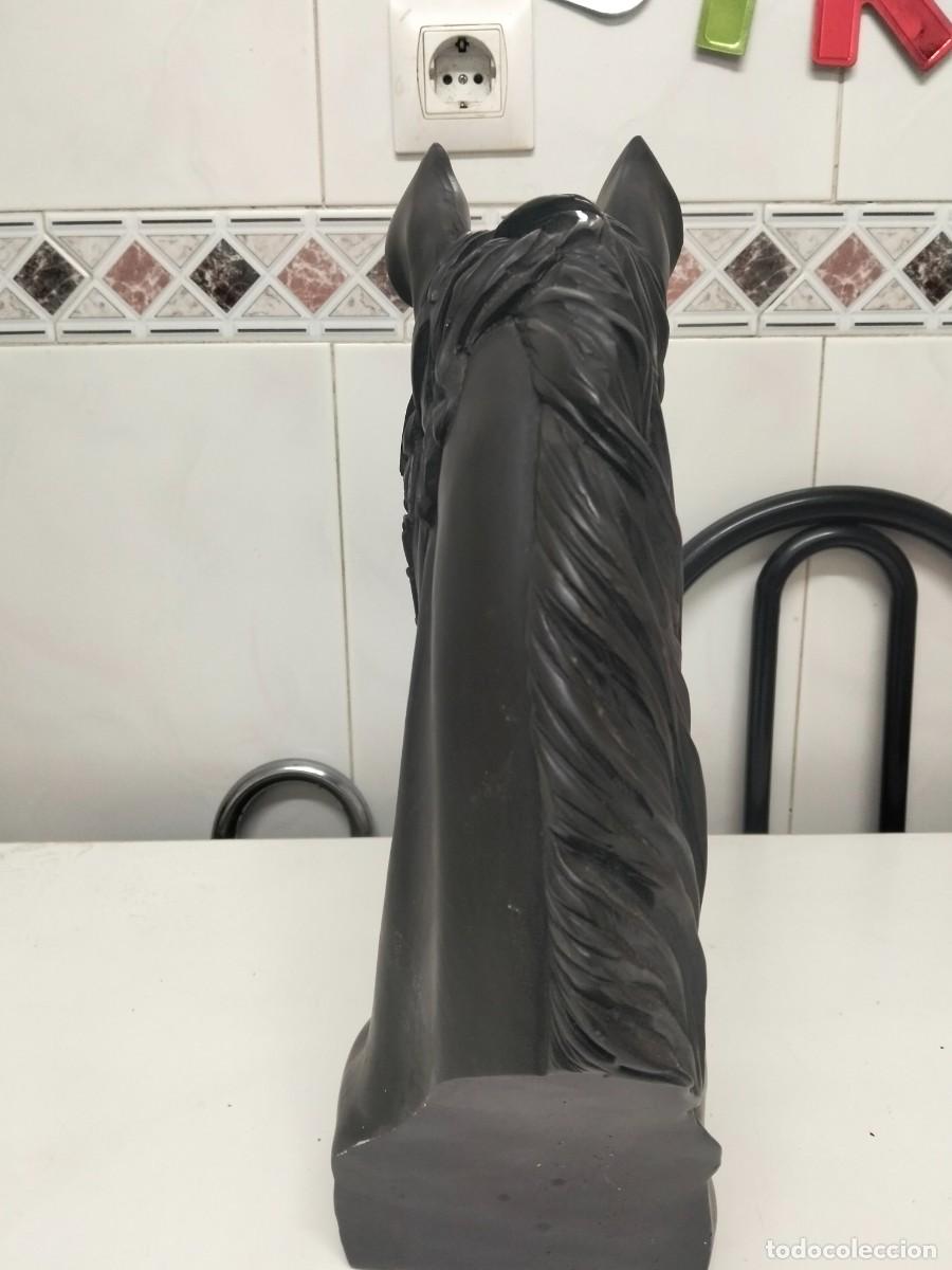 Arte: Busto de caballo, de resina con patina de bronce. - Foto 4