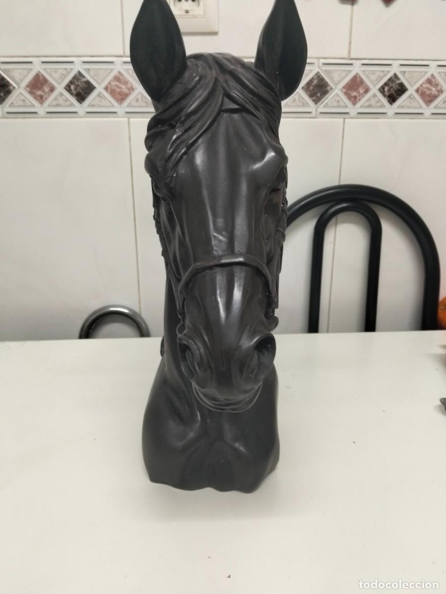 Arte: Busto de caballo, de resina con patina de bronce. - Foto 6