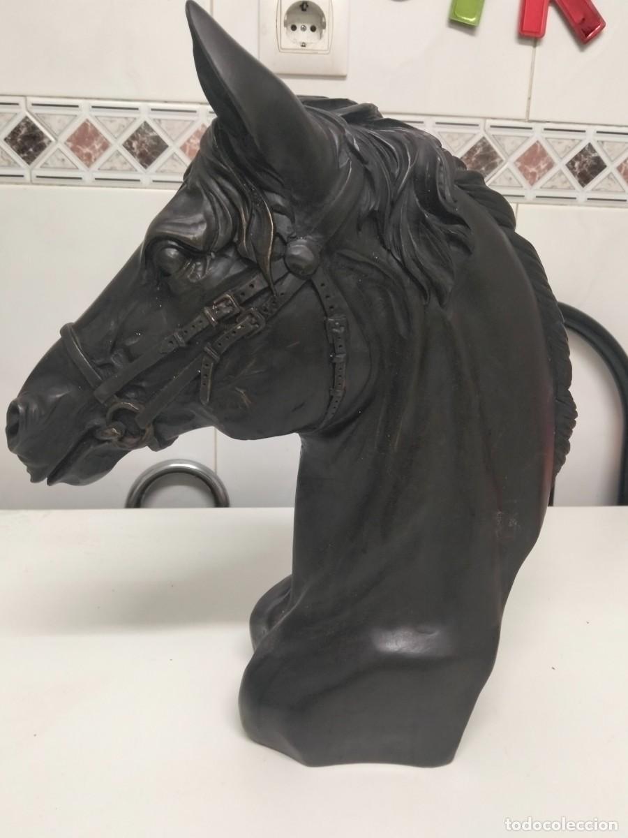 Arte: Busto de caballo, de resina con patina de bronce. - Foto 7