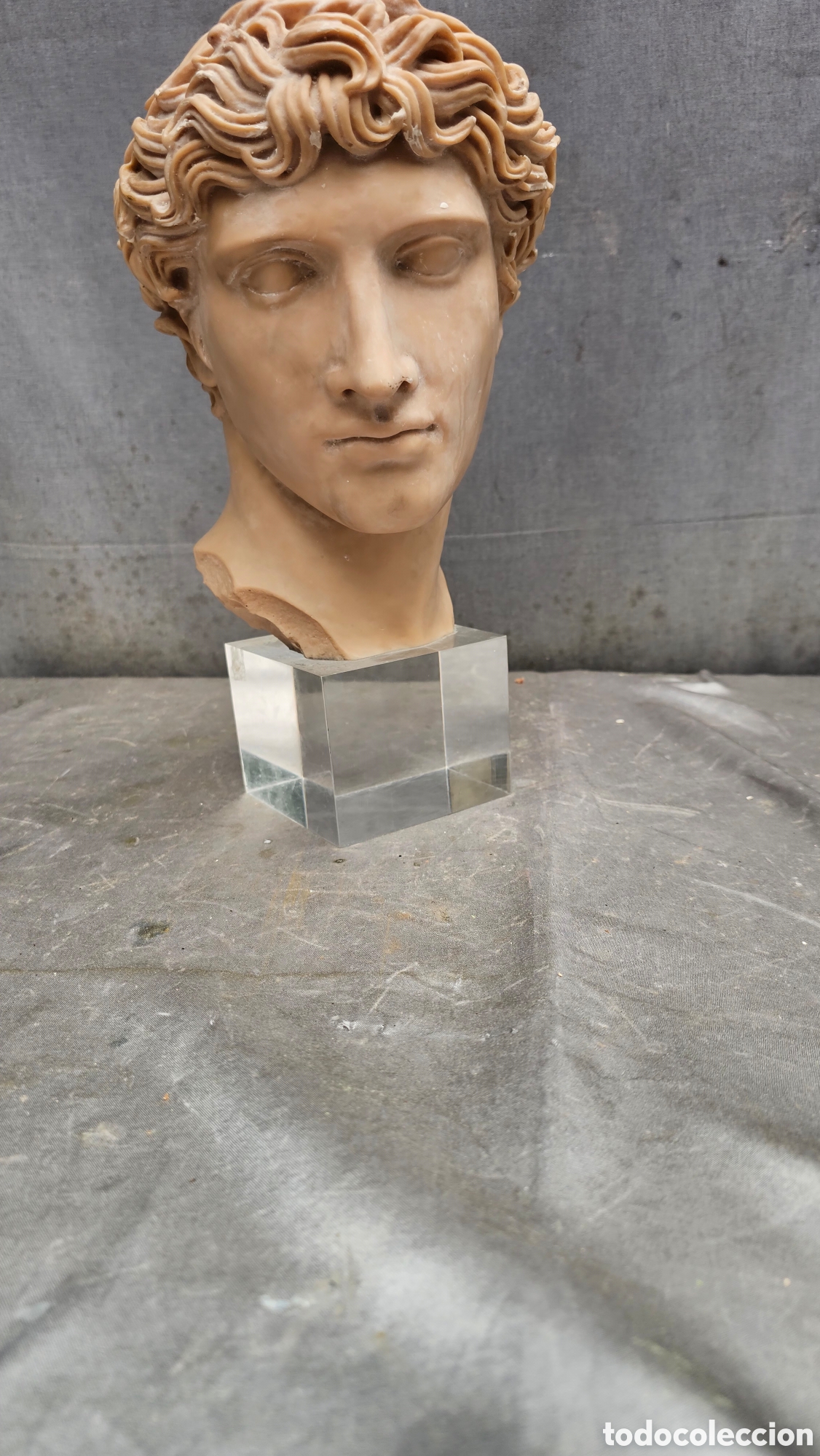 Kunst: Antiguos busto griego tama&ntilde;o real de Antinoo