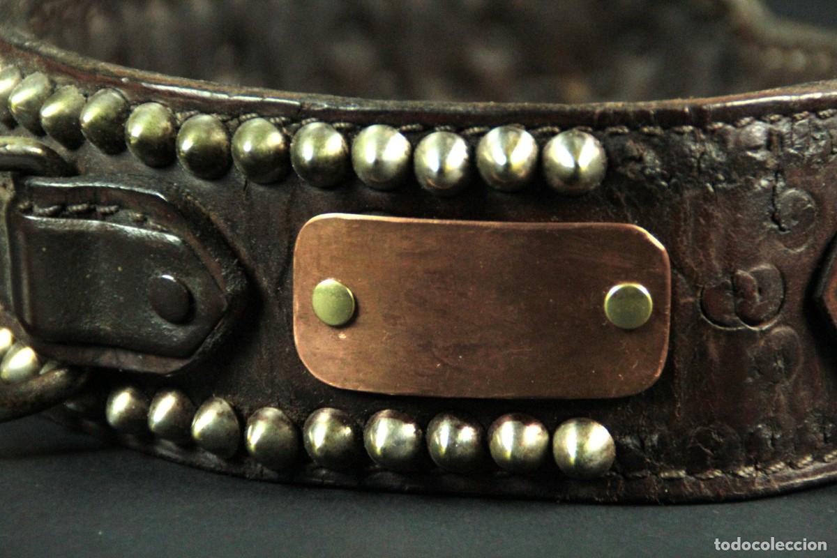 Kunst: COLLAR DE PERRO COMPLETO - CUERO, LAT&Oacute;N
