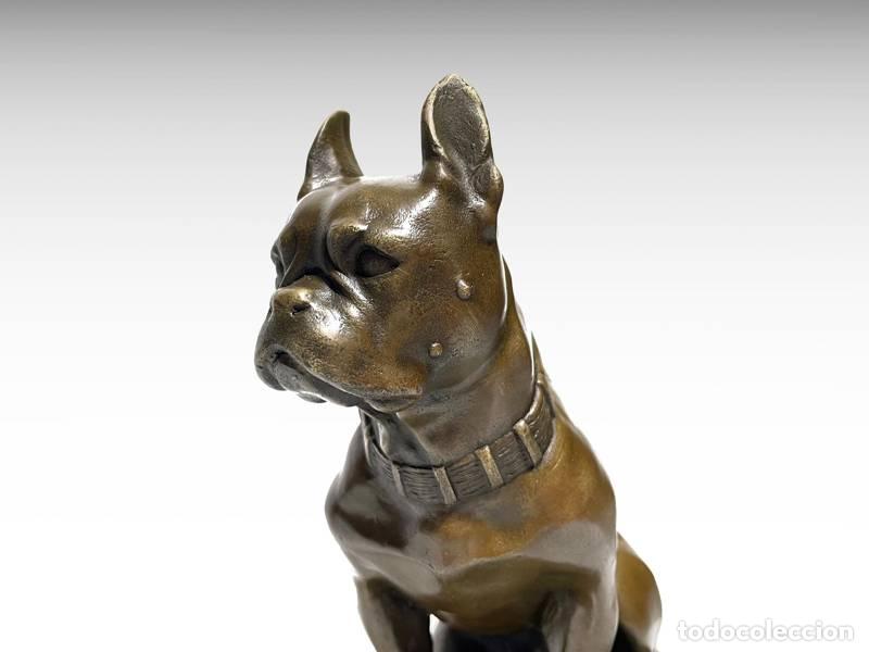 Art: Escultura de bronze - Buldogue franc&ecirc;s (1145)