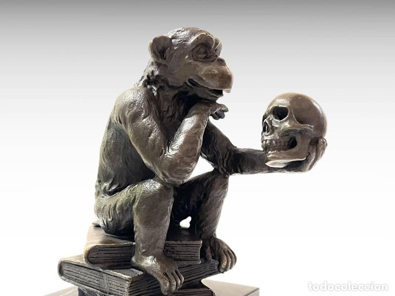 Arte: Escultura de bronze - Macaco de Darwin (1085)
