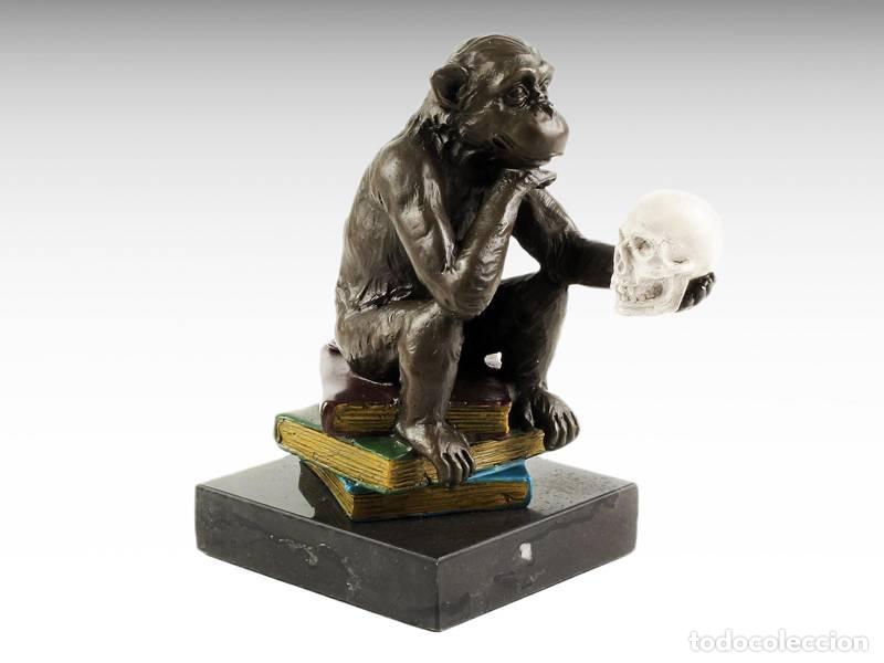 Art: Escultura de bronze - Macaco Darwin com caveira na m&atilde;o (2061)