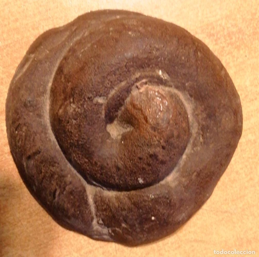 Kunst: escultura Llu&iacute;s Vil&agrave; i Vendrell -hierro fundido - 12 cm diametro 3 cm alto - ensaimada 2