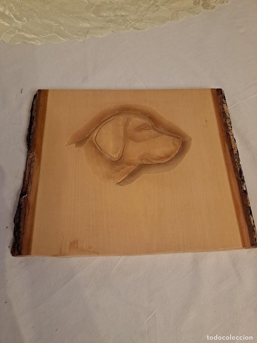Arte: Busto de perro tallado en madera cuadro , artesan&iacute;a