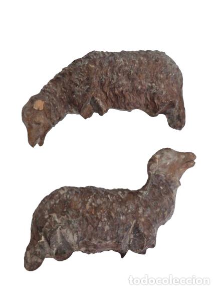 Arte: Figuras de Bel&eacute;n - Curiosa Pareja de Ovejas Antiguas - Talla de Madera - S. XVIII-XIX