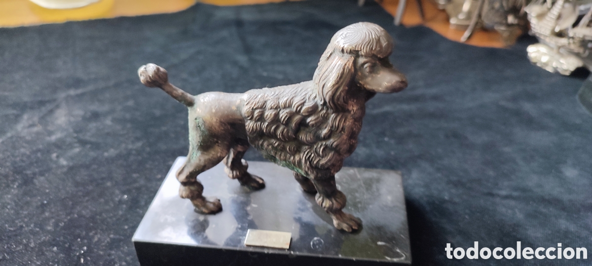 Arte: Antigua escultura de bronce se glo XIX de perro caniche firmada SARPE