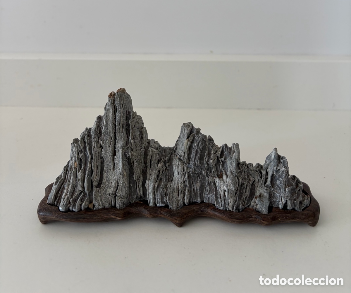 Arte: Suiseki Natural con Daiza de Madera