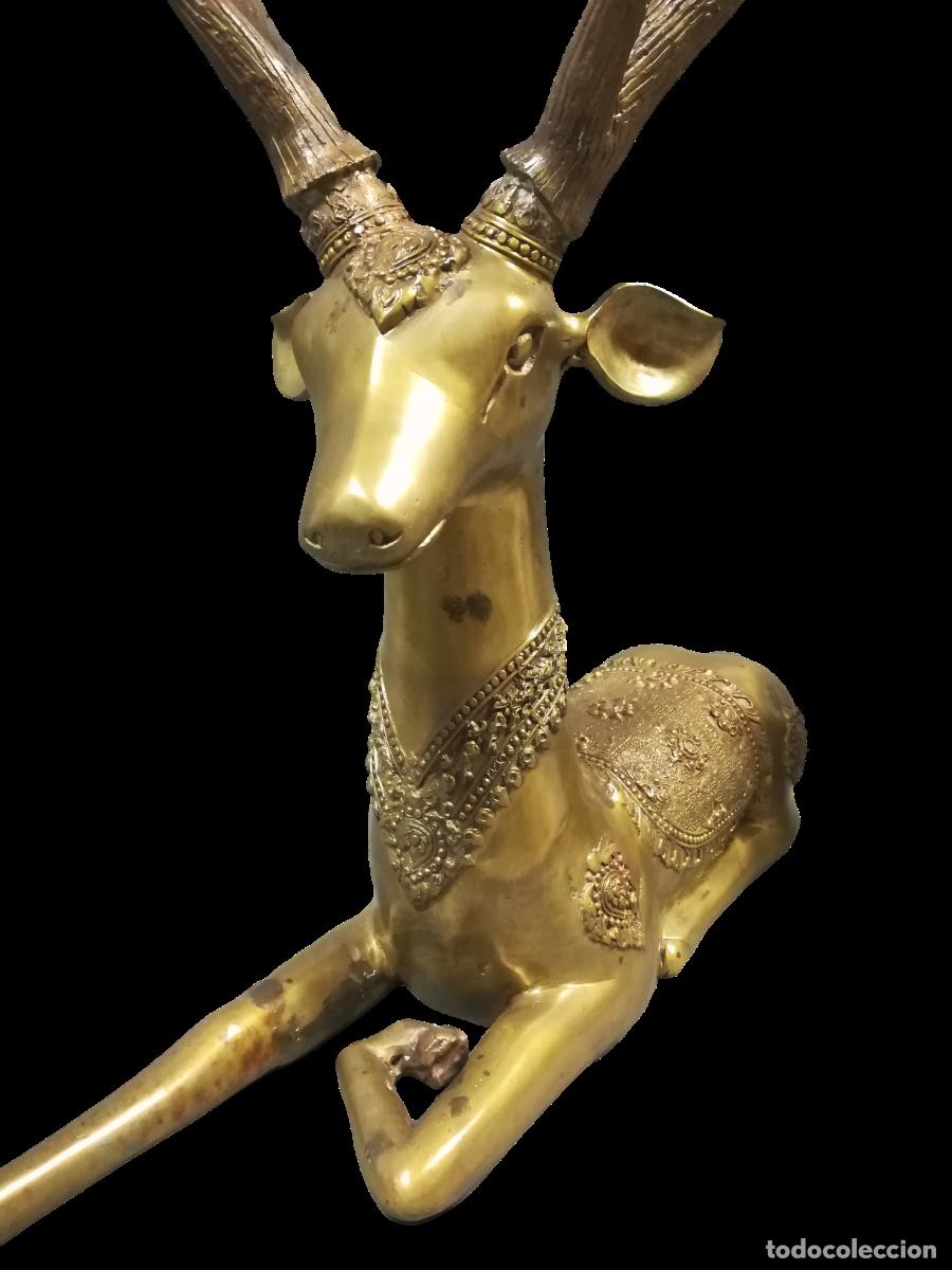 Arte: CIERVO DE BRONCE TUMBADO
