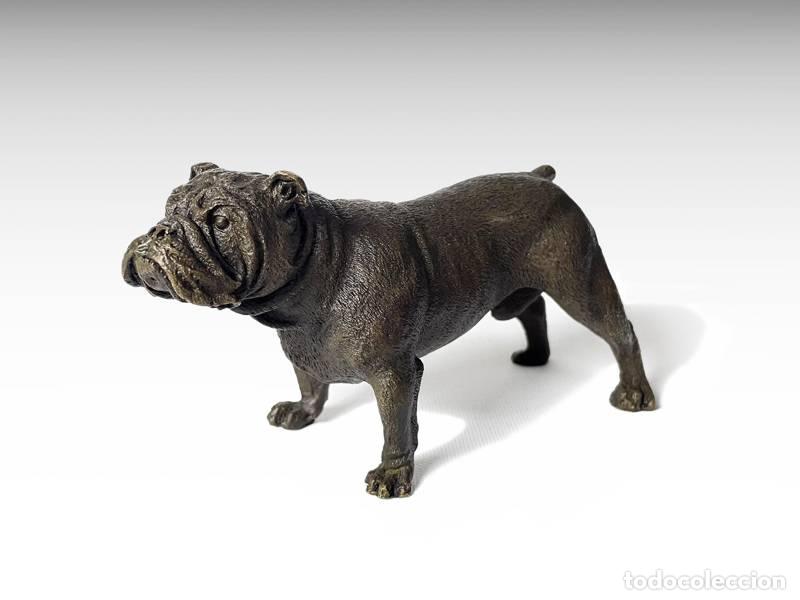 Art: Escultura de bronce - Bulldog ingl&eacute;s (1056)