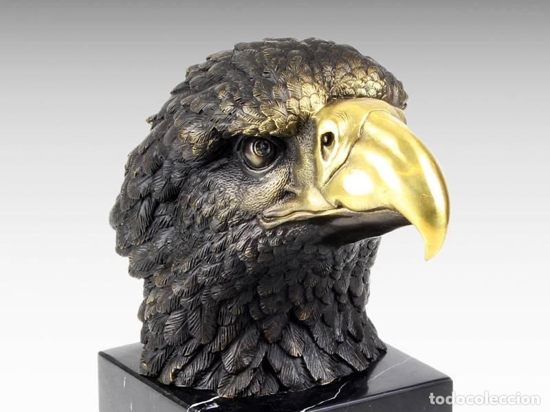 Arte: Escultura de bronce - Cabeza de &aacute;guila americana (2209)