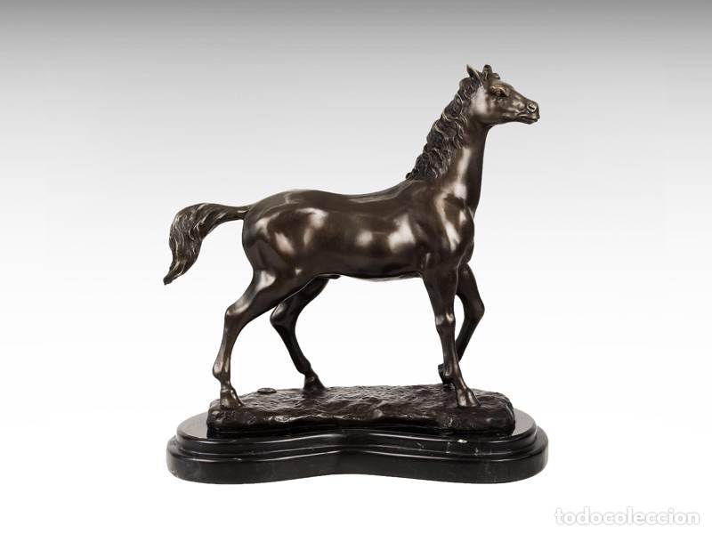 Arte: Escultura de bronce - Caballo (1225)
