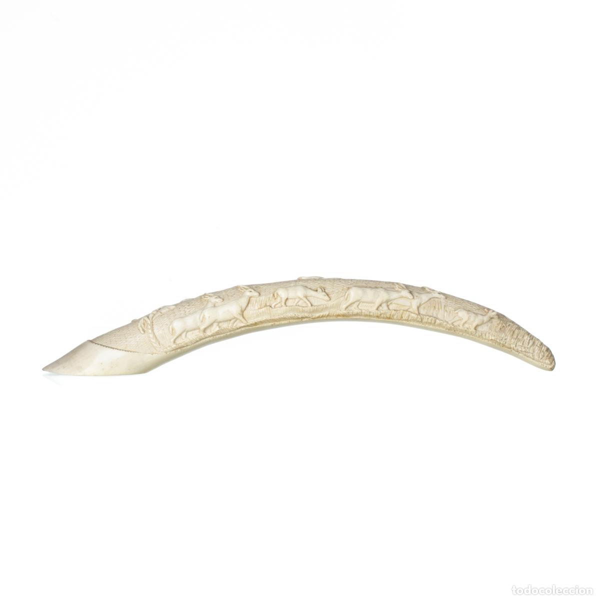 Art: Marfil - Presa - Fauna africana
