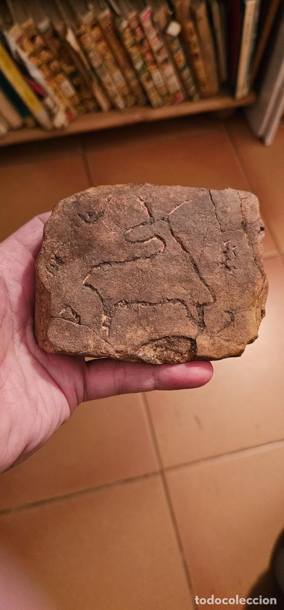 Kunst: Preciosa reproducci&oacute;n en piedra grabado paleol&iacute;tico de Siega Verde Salamanca