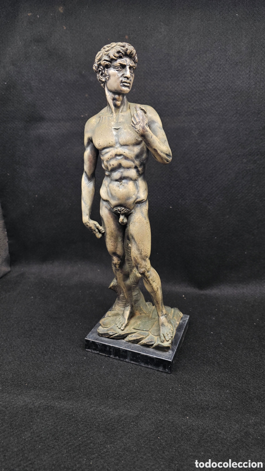 Arte: Escultura David de Michelangelo