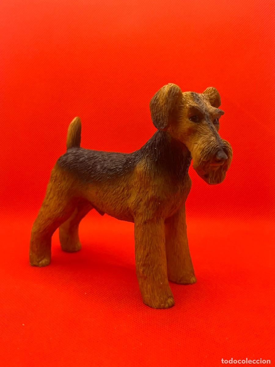 Arte: Escultura Perro Airedale / Fox Terrier. Resina Art&iacute;stica Inglesa. Pintada a Mano