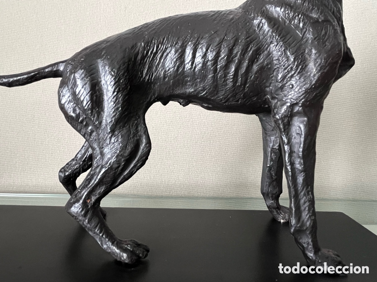 Arte: Escultura de bronce perro Braco - Foto 3