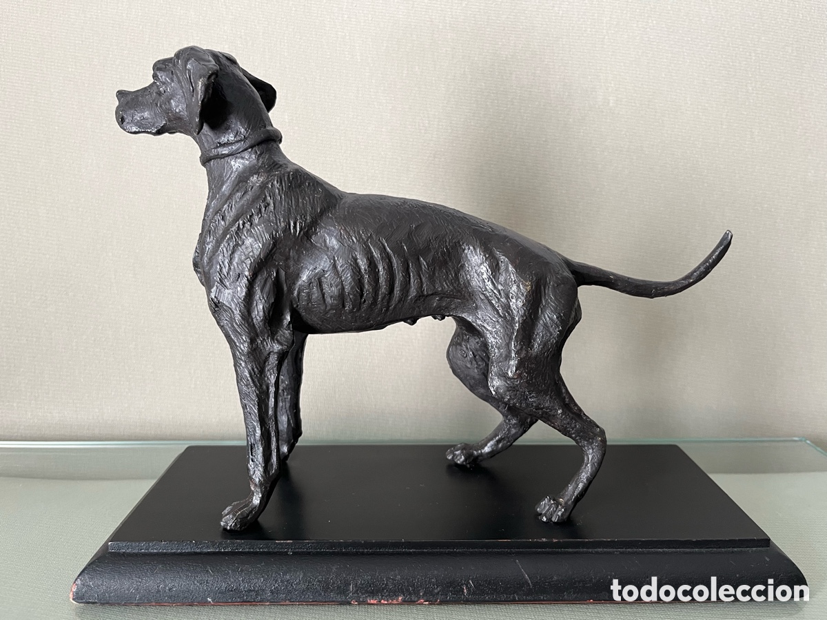 Arte: Escultura de bronce perro Braco - Foto 4