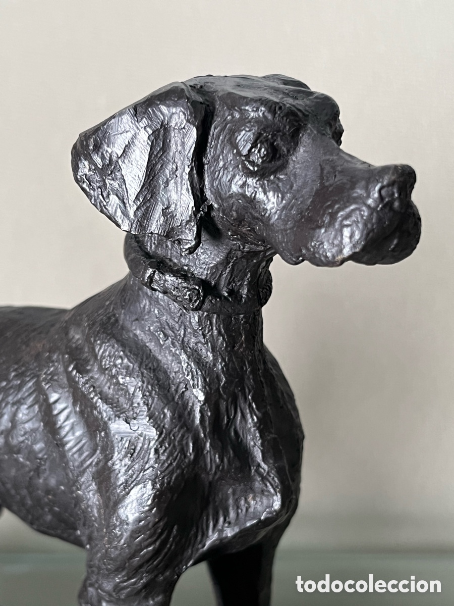 Arte: Escultura de bronce perro Braco - Foto 5