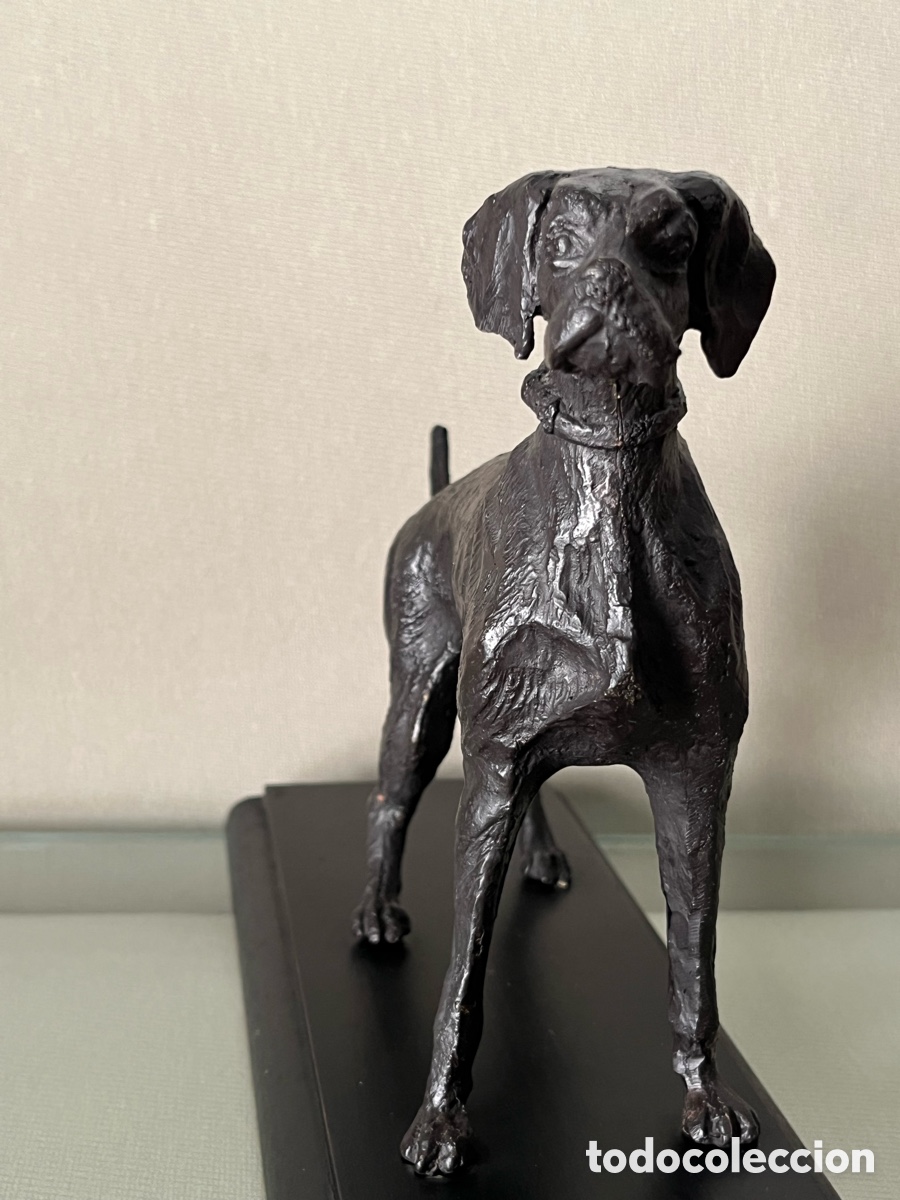 Arte: Escultura de bronce perro Braco - Foto 6