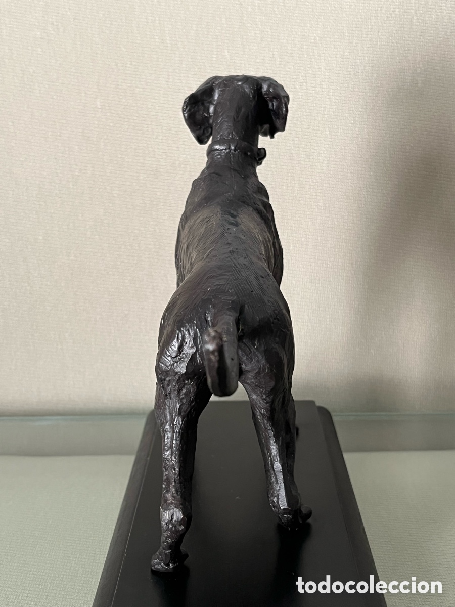 Arte: Escultura de bronce perro Braco - Foto 7