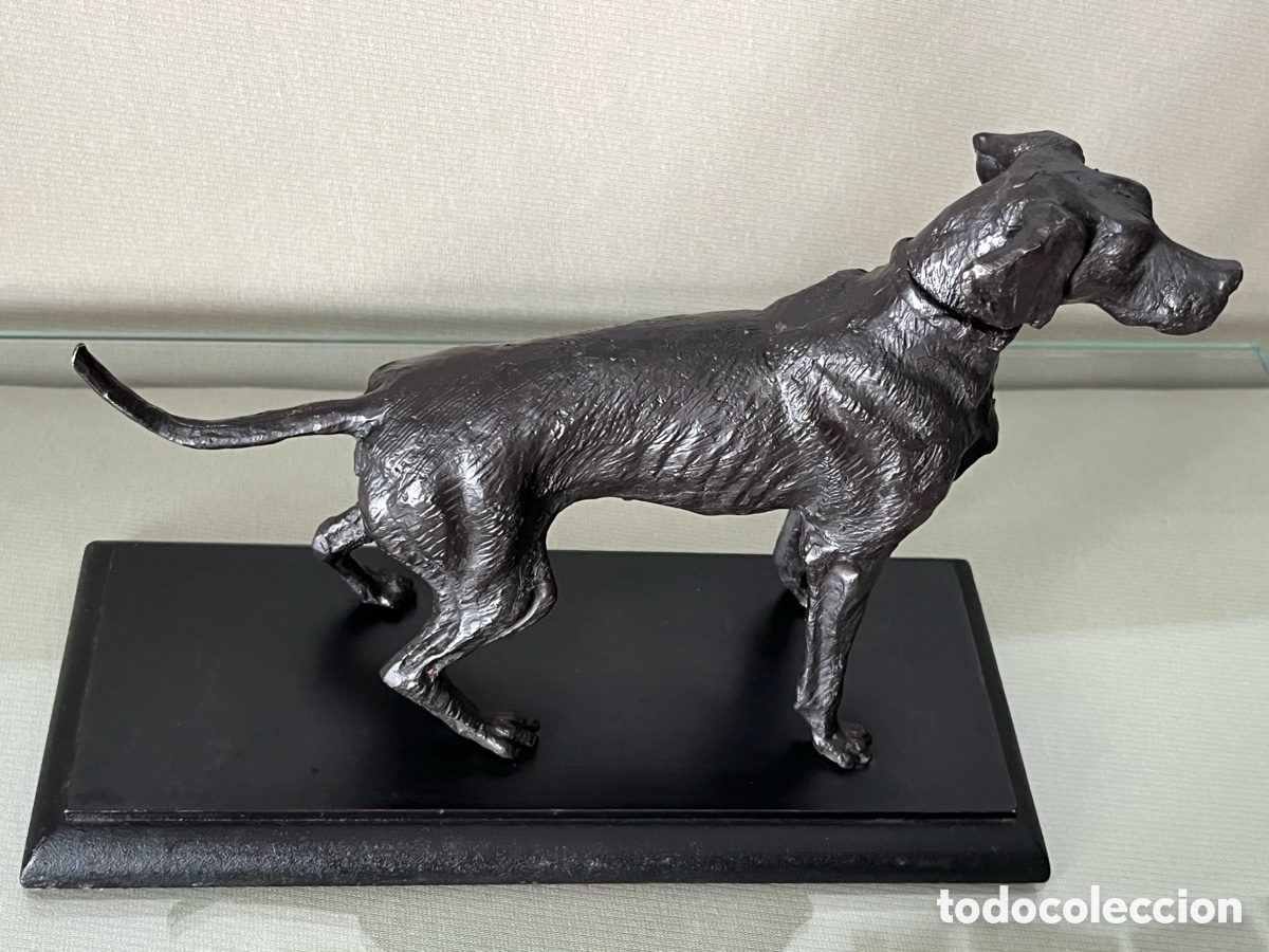 Arte: Escultura de bronce perro Braco - Foto 8