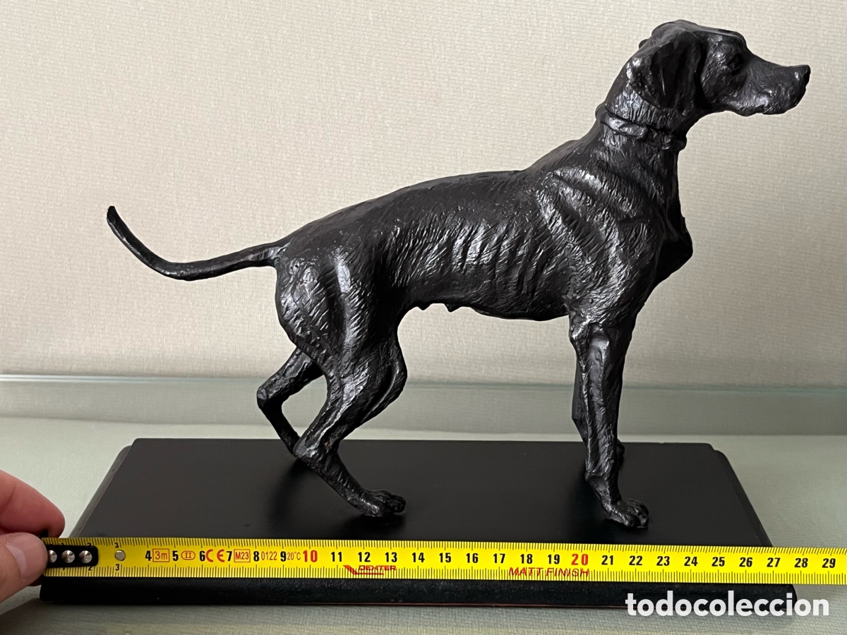 Arte: Escultura de bronce perro Braco - Foto 9