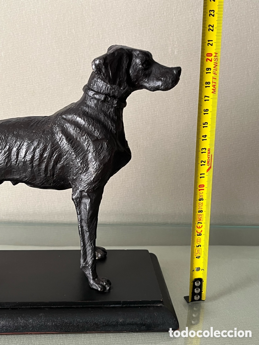 Arte: Escultura de bronce perro Braco - Foto 10