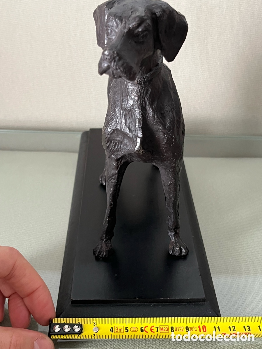 Arte: Escultura de bronce perro Braco - Foto 11