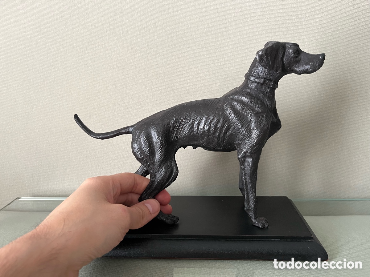 Arte: Escultura de bronce perro Braco