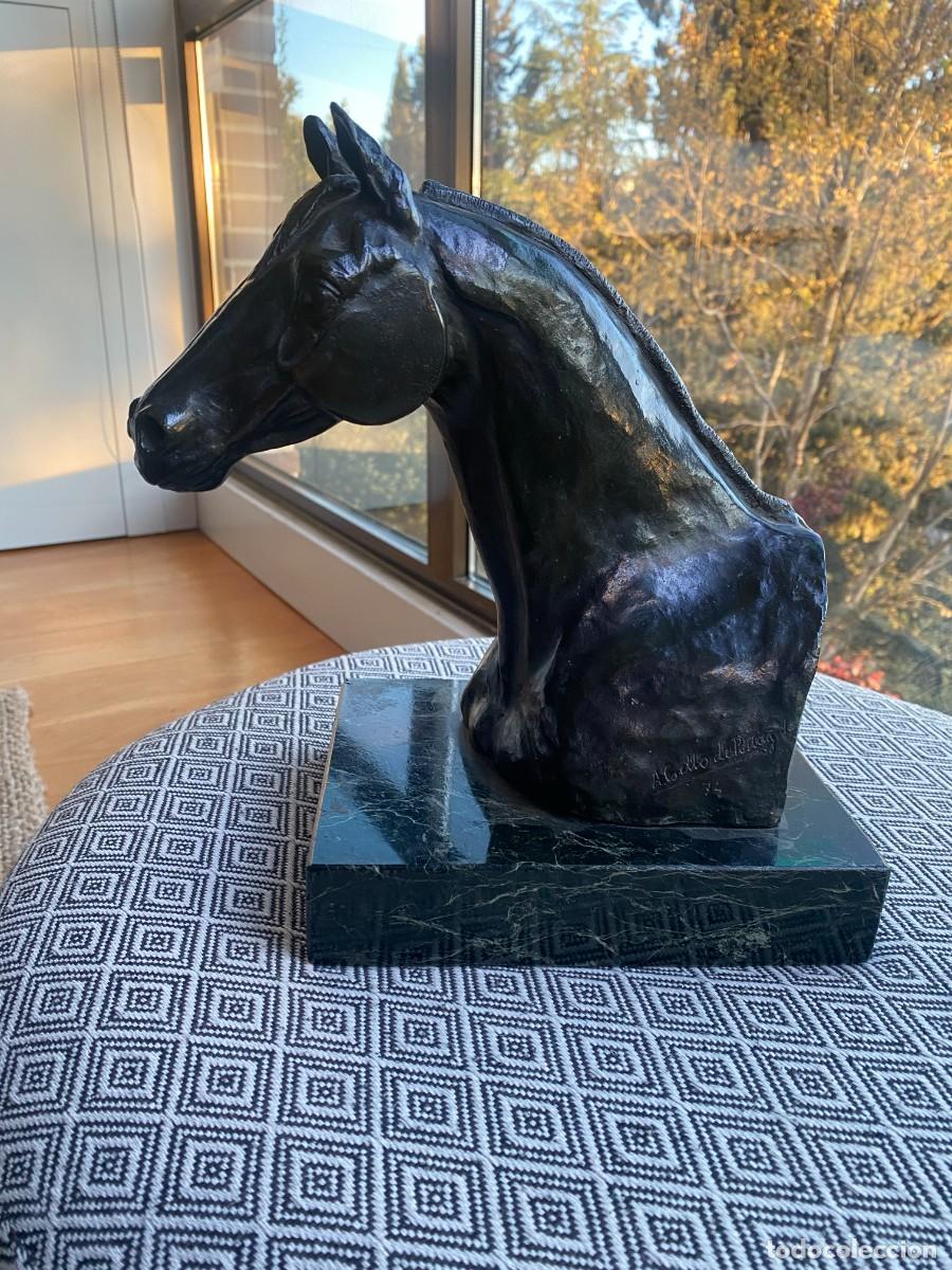 Arte: Escultura de cabeza de caballo de Antonio Coello de Portugal