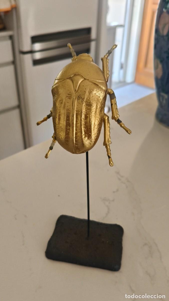 Arte: Sculpture en bois scarab&eacute;e sur socle 1960