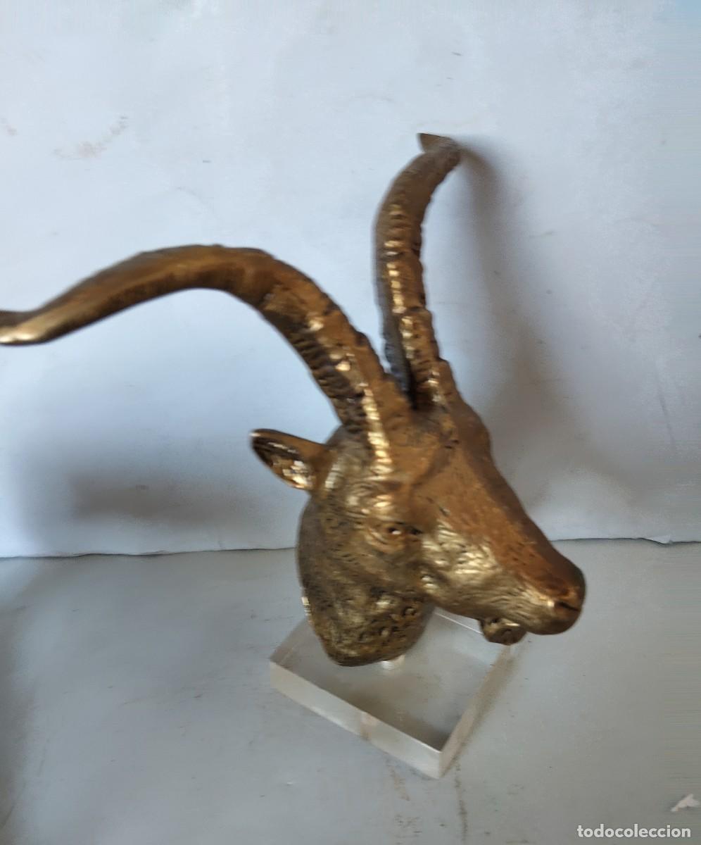 Arte: Cabeza de cabra montesa, de bronce