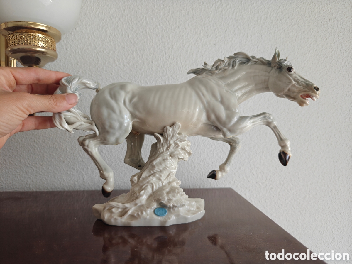 Arte: Caballo salvaje de Algora para restaurar