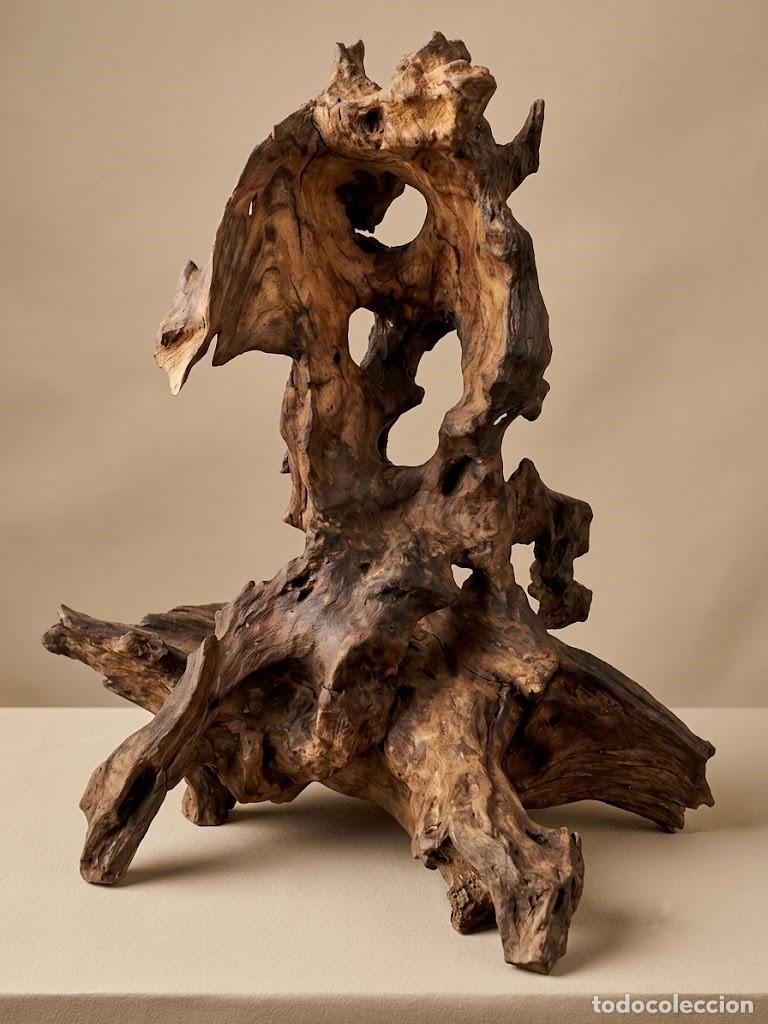 Arte: Escultura en madera llamada Cicatriz de la Tierra