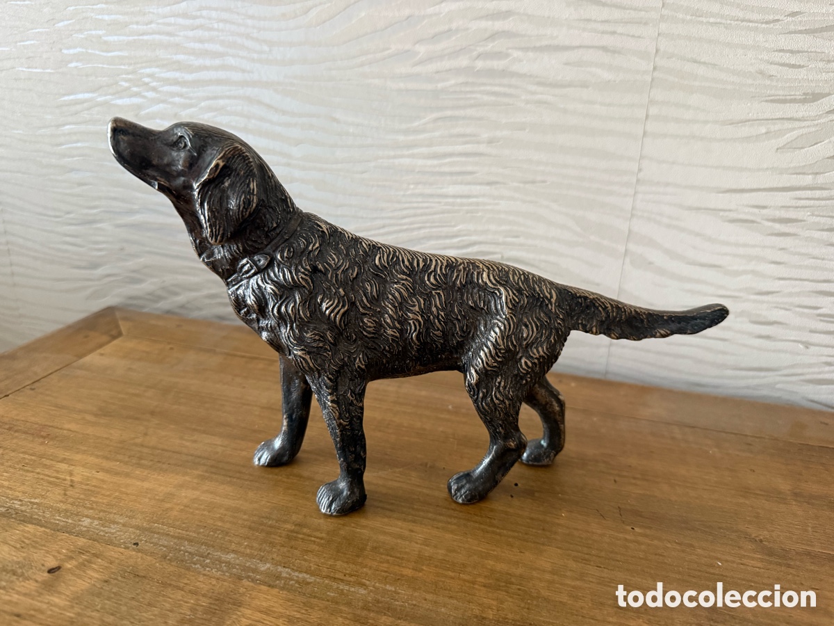 Arte: ESCULTURA. PERRO DE CAZA. SETTE. . Firmado. BRONCE PLATEADO 27x17 cm